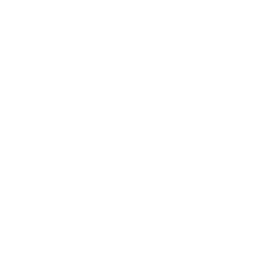 Monster-Media Website design process